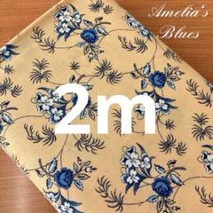 【moda生地】31652-16 Amelia's Blues