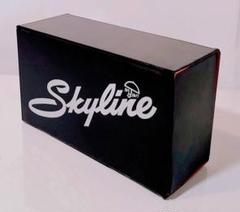 レア1980年代ケンメリskylineスカイラインBOX当時物GT-Rプリンス